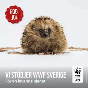 God Jul Önskar Makab